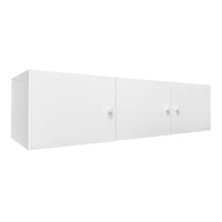 3-Door Built-in Cupboard TOP BOX