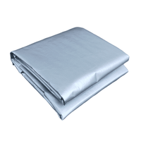 ground sheet silver