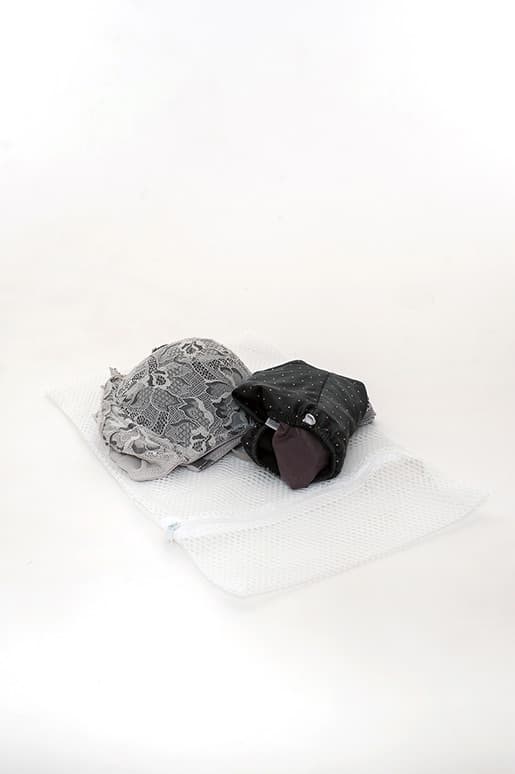 Lingerie Washing Bag (small)