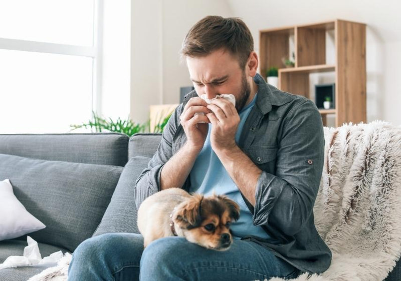 5 Ways To Organise Your Home To Prevent Allergy Attacks