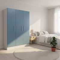 Built In Cupboard 3 door