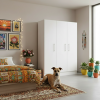 Built In Cupboard 3 door