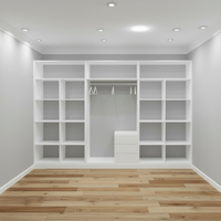 Built in walk in closet (3m)