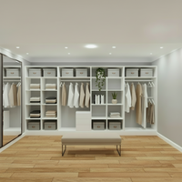 Built in walk in closet (4m)