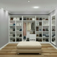 Built in walk in closet (3m)