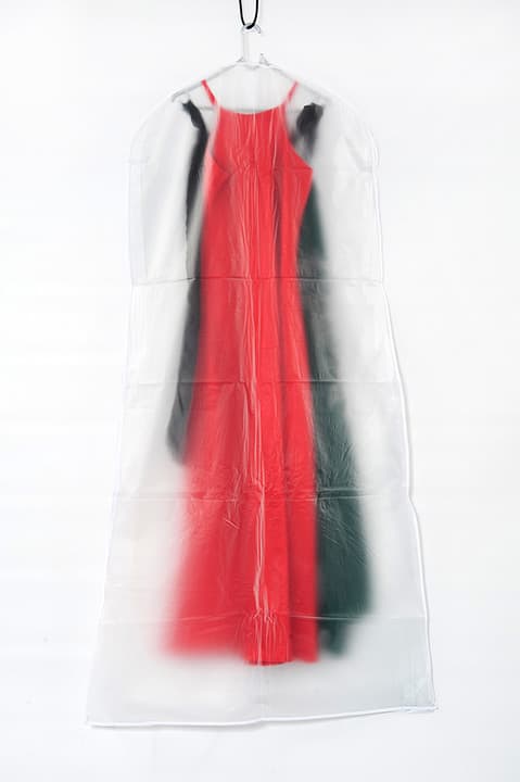 Wedding Dress Cover (frosted)