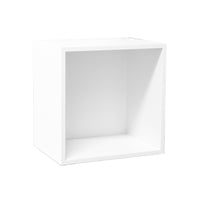 Olivia Ostrich's Modular 1 Cube